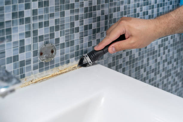 Best Residential Mold Remediation in Leetonia, OH